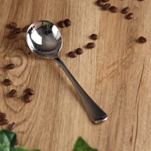 CUCHARA DE CATACIÓN PLATEADO